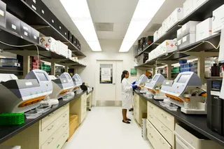 How Inflammation Shapes Cancer Progression